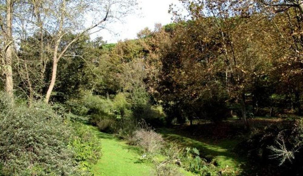 Hotel Terme di Stigliano Canale Monterano Esterno foto